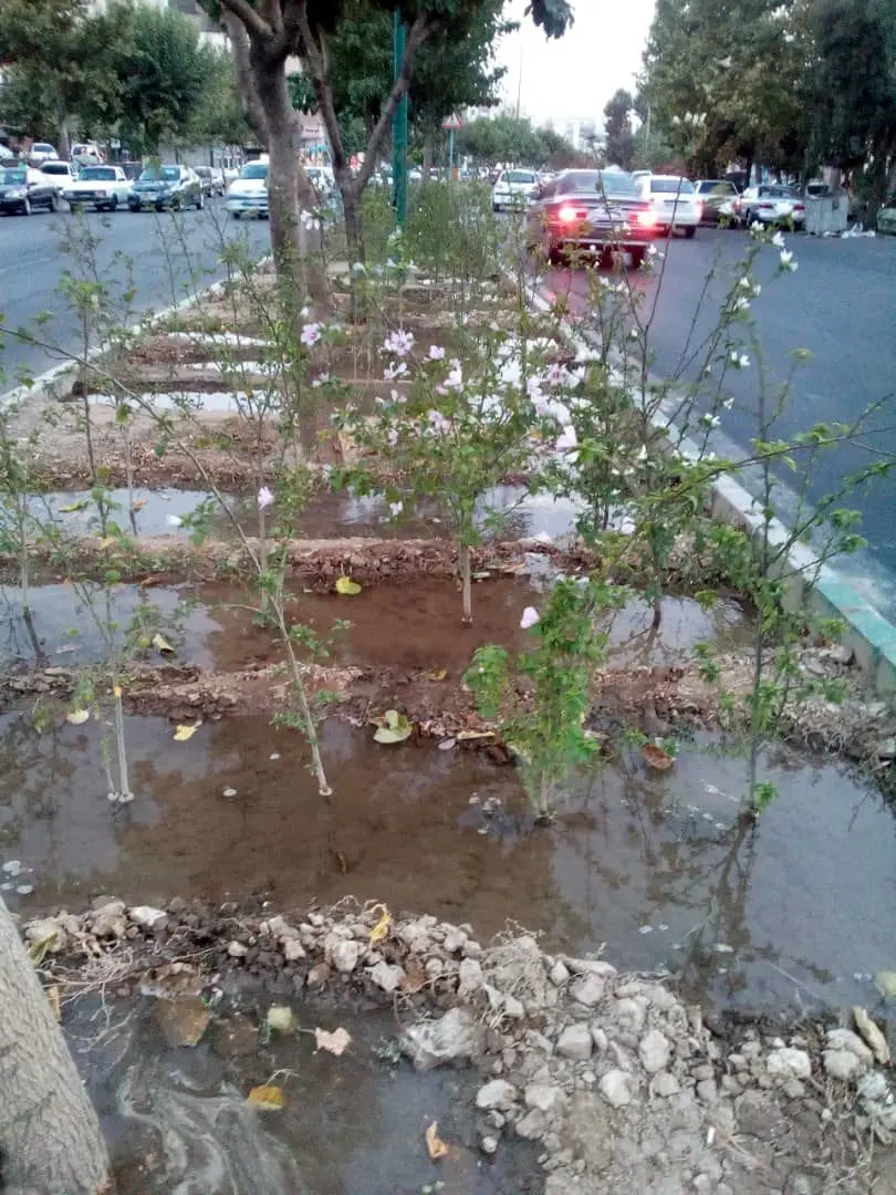 استفاده از آب های زیرزمینی شمال شرق تهران برای آبیاری فضاهای سبز شهری