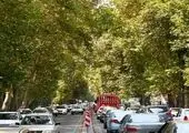 پخش1200 تن آسفالت در خیابان ترانسفو منطقه 19

