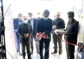 پایان احداث مسیر دوچرخه سواری پیاده رو محور کریمخان