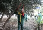 ترافیک بازدید کنندگان ازغرفه پسماند شهرداری منطقه 22