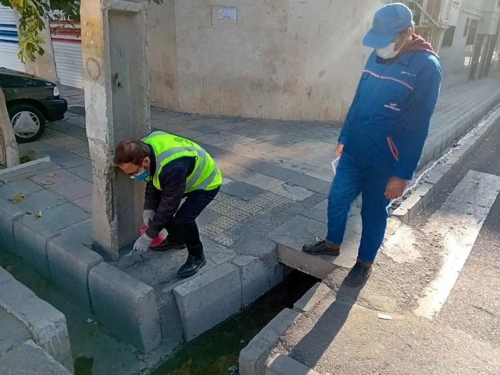 اجرای طرح ضربتی مبارزه با جانوران موذی با شناسایی و طعمه گذاری کلونی ها در منطقه 19

