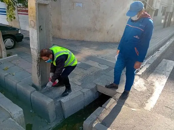 اجرای طرح ضربتی مبارزه با جانوران موذی با شناسایی و طعمه گذاری کلونی ها در منطقه 19