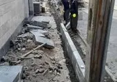 اجرای مرحله اول کاشت یک هزار درخت در معابر منطقه سه تهران