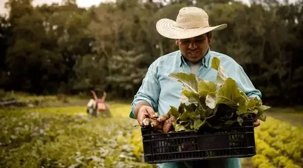 نگاهی به رویکرد جامع نستله در ارتقای استانداردهای کیفی از مزرعه تا سفره