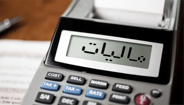 عدالت مالیاتی با این راهکار اجرایی میشود / منتظر فرار سرمایه باشید