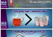 آغاز نشست سالانه بانک توسعه اسلامی

