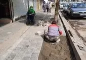 صدور گواهی پایانکار برای املاک شهرک امید منطقه 4 پس از 3 دهه بلاتکلیفی

