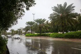 بارش باران، رعدوبرق در ۲۴ استان