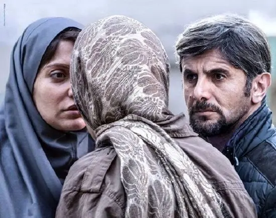 دارکوب،یک راوی قصه گو