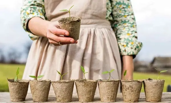 چشم‌انداز نستله؛ ساختن آینده‌ای سالم‌تر و پایدار برای نسل‌های بعد