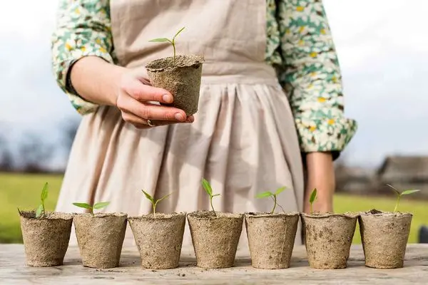 چشم‌انداز نستله؛ ساختن آینده‌ای سالم‌تر و پایدار برای نسل‌های بعد