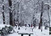 وزش باد شدید در جنوب کشور
