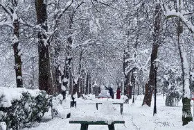 تداوم بارش برف و باران در کشور