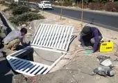 از طبیعت برای طبیعت؛ نگاهی به بسته‌بندی‌های زیستی و آینده‌ای سبز و پایدار