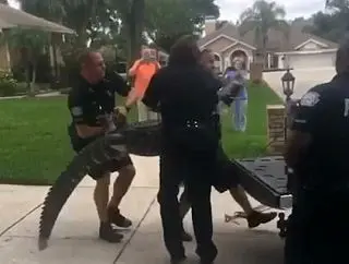 حمله ناگهانی کروکودیل به مأمور پلیس + عکس