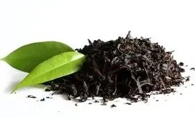 حتی یک دلار هم ارز ترجیحی به واردات چای ندادیم

