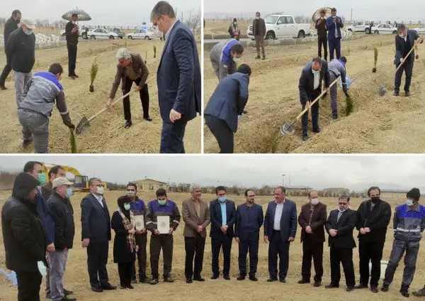 کاشت نهال ایثار به یاد سالها ایثار و گذشت جانبازان