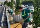 بهسازی معابر منطقه ۲ با توزیع بیش از ۵۵ هزار تن آسفالت 

