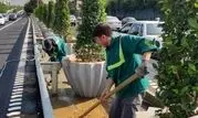 بزرگراه شهید چمران  با نصب گلدان‌های شهری آراسته شد

