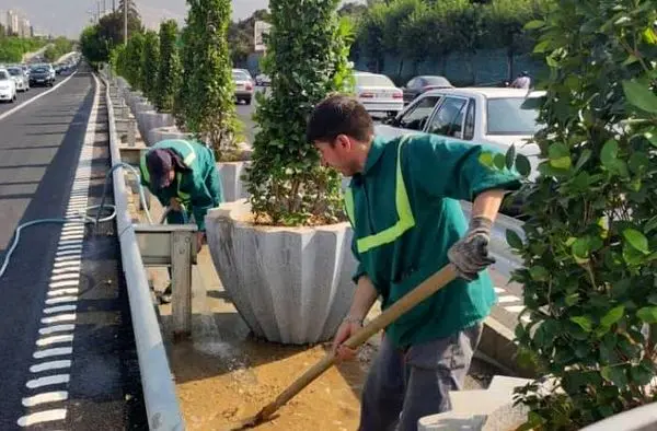 بزرگراه شهید چمران  با نصب گلدان‌های شهری آراسته شد

