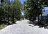 برگزاری نشست ستاد بازآفرینی منطقه ۱۵ با محوریت بررسی موضوعات و چالش های محدوده ناکارآمد

