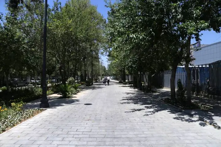 اجرا و تکمیل پروژه‌های فنی و بهسازی سازمان زیباسازی در اولویت قرار دارد