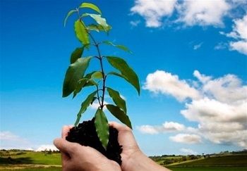 اجرای پویش سبزه ماندگار در منطقه2 پایتخت

