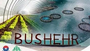 مشارکت بانک کشاورزی و پتروشیمی جم در اجرای پروژههای کارآفرینانه و اشتغالزا