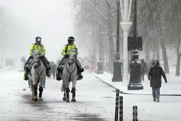 
سرما در اروپا همچنان قربانی می گیرد
