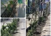 استمرار عملیات تراش و روکش آسفالت در معابر محلی و بزرگراهی منطقه ۴ 

