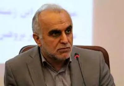 امروز شاهد تحول جدی در فعالیت های گمرکی کشور هستیم
