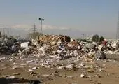 پاکسازی و تسطیح 14 هکتار از فضا های بی دفاع شهری منطقه 19

