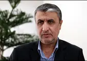 تاکید وزیر نیرو بر تکمیل نیروگاه‌های اتمی بوشهر