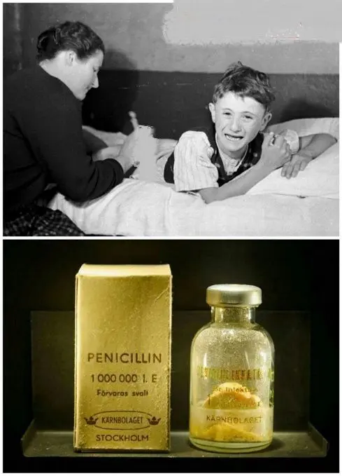 اولین پنی سیلینی که کشف شد+عکس