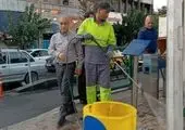 تابلو پایانه های تاکسیرانی منطقه 19 بهسازی شد