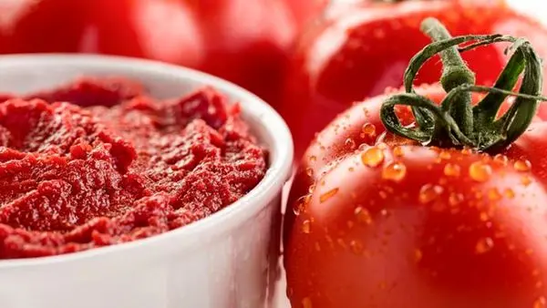 صادرات رب گوجه فرنگی آزاد شد