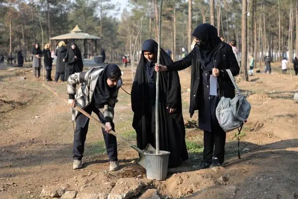 ۲۵ هزار درخت جایگزین ۶۰۰۰ درخت آلوده در سرخهحصار می شود