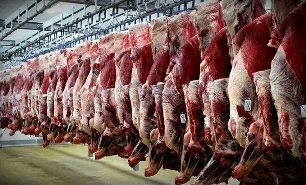 آغاز طرح برخورد با گرانفروشی گوشت قرمز در سراسر کشور