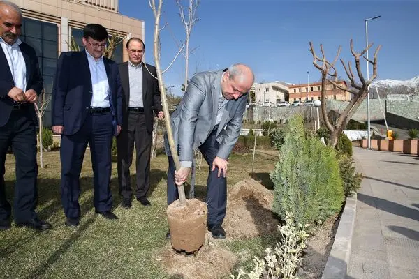 کاشت نهال توسط دبیر کل کمیته ملی المپیک 