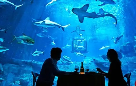 ترسناک ترین اتاق خواب دنیا در دل کوسه ها+عکس