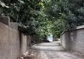 تخفیف نجومی برای عضو شورای شهر +عکس