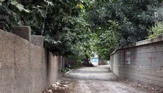 بررسی ۱۶ پرونده برج - باغ در شورای شهر