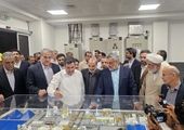هلدینگ خلیج‌فارس، نقشی کلیدی در توسعه زنجیره ارزش دارد

