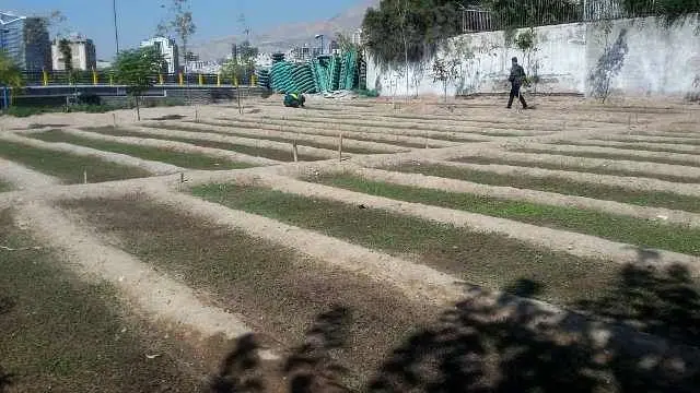 تکثیر گل و گیاه در پارک ملت منطقه 3