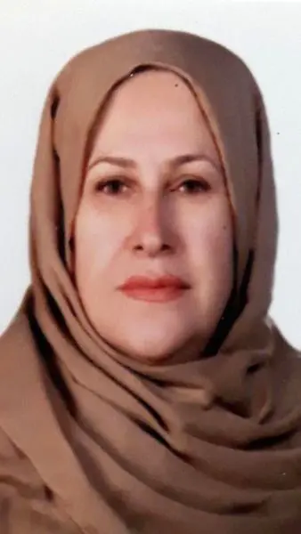 تجربه زیسته زنان در شورای شهر، روستا و شورایاری