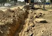 کاشت نخل تزیینی پالم  درحاشیه بزرگراه جلال احمد و کوی نصر

