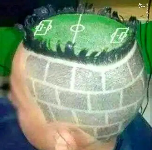 استادیوم روی سر یک هوادار+عکس