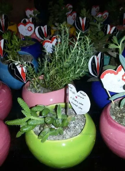 عجیب ترین کارت عروسی که تاکنون دیده اید+عکس
