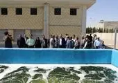 ضرورت استفاده از پساب و روانابهای سطحی در آبیاری فضای سبز 


