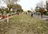 اجرای پویش درخت کاری در بوستان سمن ها
